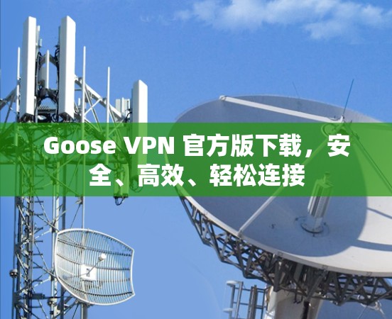 Goose VPN 官方版下载,安全、高效、轻松连接