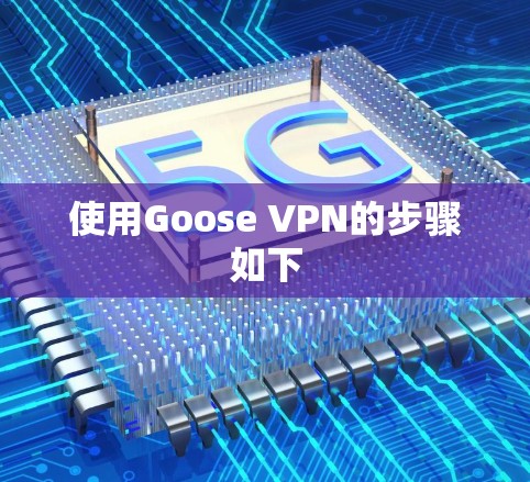 使用Goose VPN的步骤如下