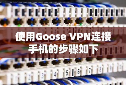 使用Goose VPN连接手机的步骤如下