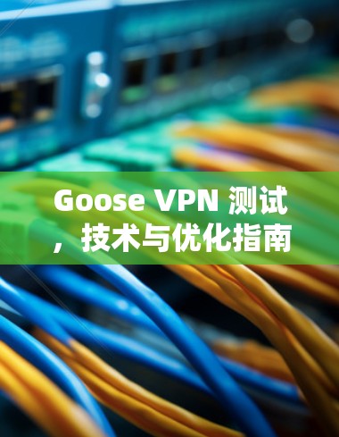 Goose VPN 测试，技术与优化指南