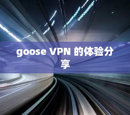 goose VPN 的体验分享