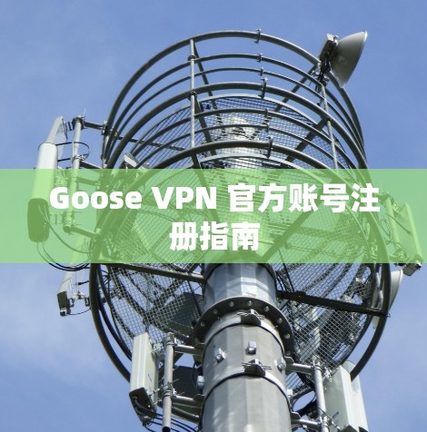Goose VPN 官方账号注册指南