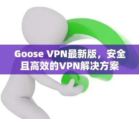 Goose VPN最新版,安全且高效的VPN解决方案