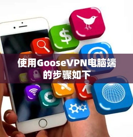 使用GooseVPN电脑端的步骤如下