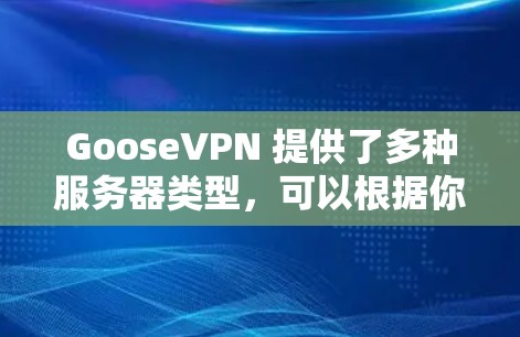 GooseVPN 提供了多种服务器类型，可以根据你的需求选择合适的服务器。以下是GooseVPN服务器的选择建议