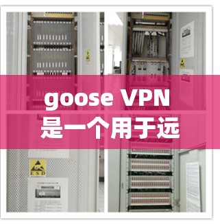 goose VPN 是一个用于远程访问计算机的工具,旨在提供安全和便捷的VPN连接。以下是关于 goose VPN 的详细介绍