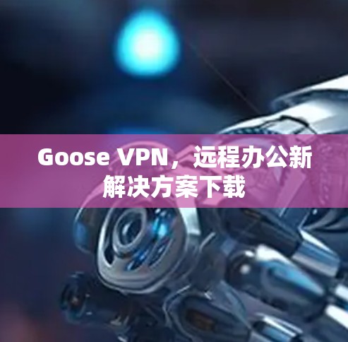 Goose VPN，远程办公新解决方案下载