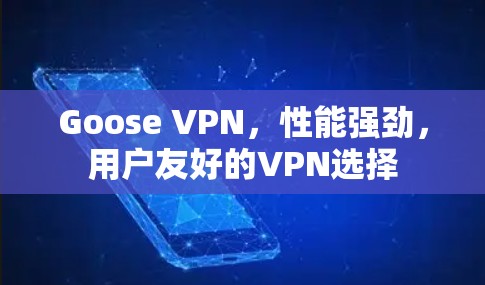 Goose VPN，性能强劲，用户友好的VPN选择