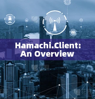 Hamachi.Client:An Overview