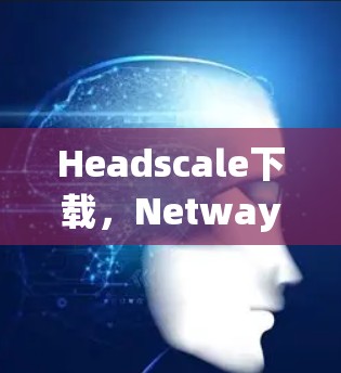 Headscale下载,Netway的未来挑战与解决方案