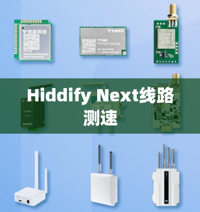 Hiddify Next线路测速