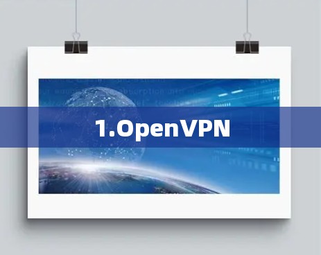 1.OpenVPN