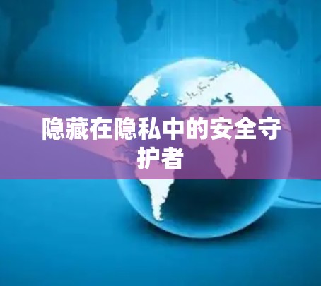 隐藏在隐私中的安全守护者