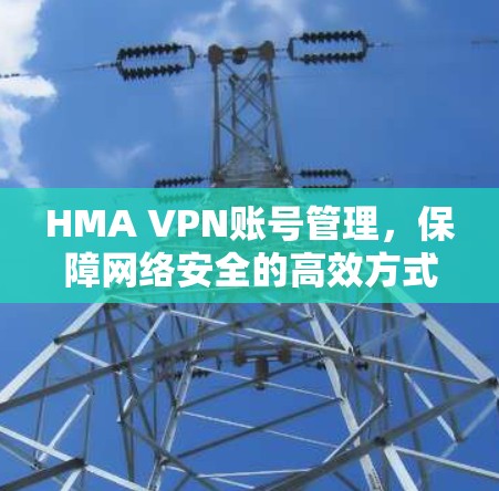 HMA VPN账号管理，保障网络安全的高效方式