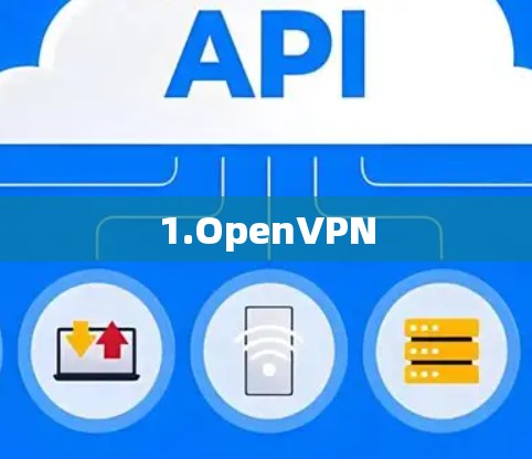 1.OpenVPN