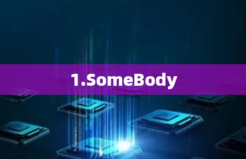 1.SomeBody