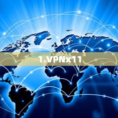 1.VPNx11