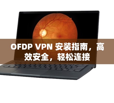 OFDP VPN 安装指南,高效安全,轻松连接