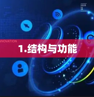 1.结构与功能