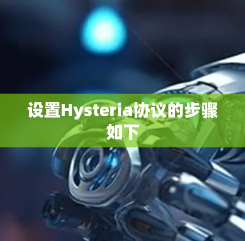 设置Hysteria协议的步骤如下