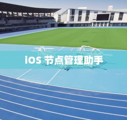 iOS 节点管理助手