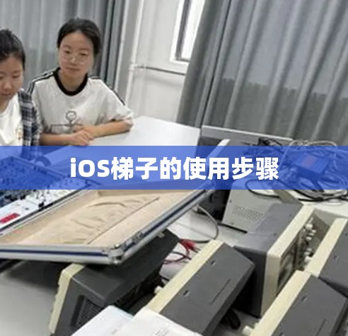 iOS梯子的使用步骤