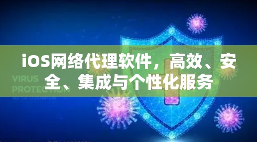 iOS网络代理软件,高效、安全、集成与个性化服务