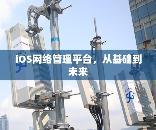 iOS网络管理平台，从基础到未来
