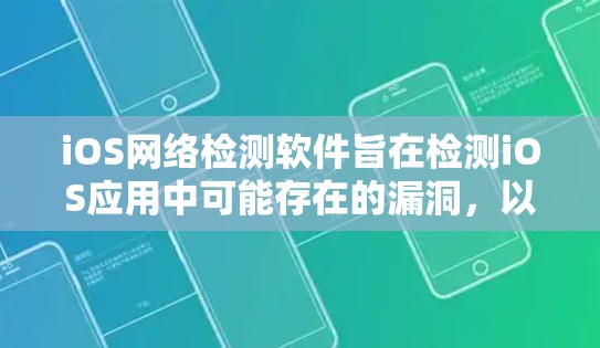 iOS网络检测软件旨在检测iOS应用中可能存在的漏洞，以确保应用的安全性和稳定性。以下是一些常见的iOS网络检测软件及其功能