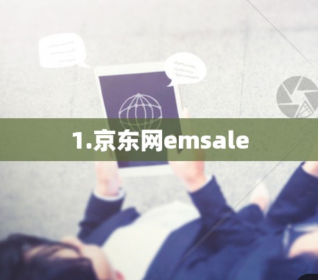 1.京东网emsale