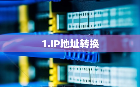 1.IP地址转换