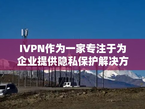 IVPN作为一家专注于为企业提供隐私保护解决方案的公司,其隐私功能覆盖了多个关键方面,旨在保护用户和企业的数据安全。以下是IVPN在隐私功能上的具体分析