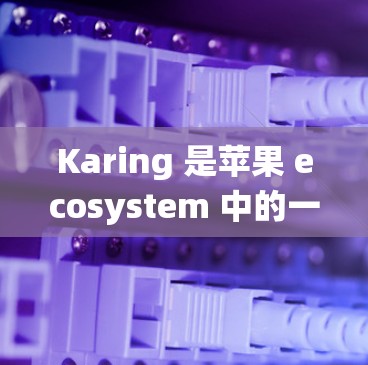 Karing 是苹果 ecosystem 中的一个应用，适合用于测试手机、使用模拟器、或进行特定的系统设置。以下是一步步的使用指南