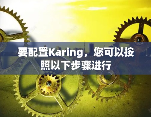 要配置Karing,您可以按照以下步骤进行