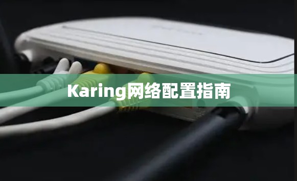Karing网络配置指南