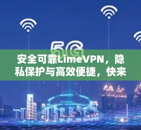 安全可靠LimeVPN,隐私保护与高效便捷,快来下载吧!