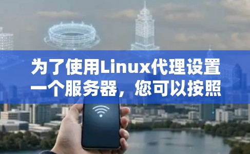 为了使用Linux代理设置一个服务器,您可以按照以下步骤进行