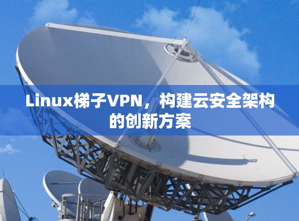 Linux梯子VPN,构建云安全架构的创新方案