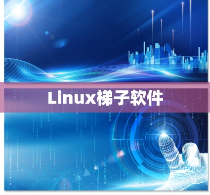 Linux梯子软件