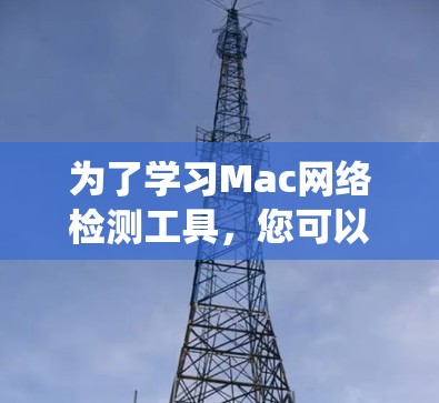 2026年9月 第294页
