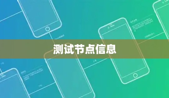测试节点信息