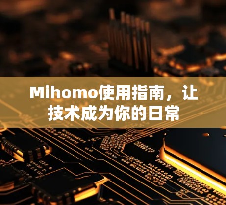 Mihomo使用指南,让技术成为你的日常