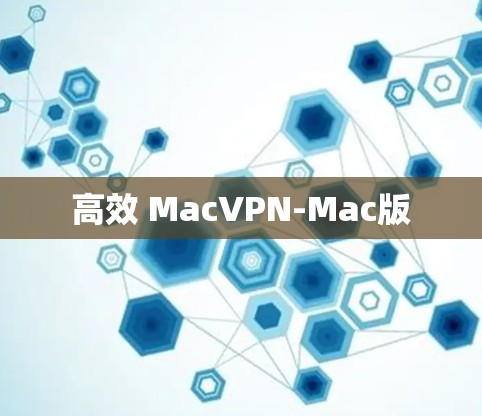 高效 MacVPN-Mac版