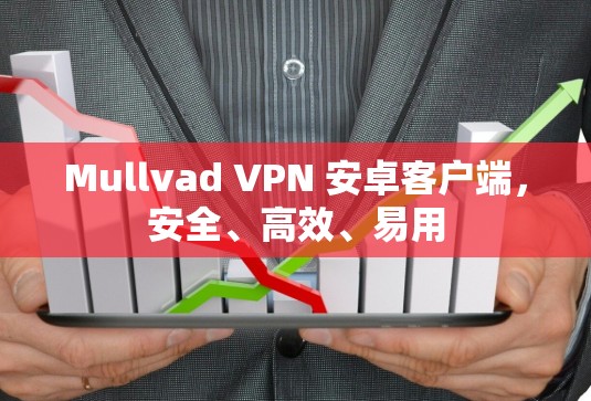 Mullvad VPN 安卓客户端,安全、高效、易用