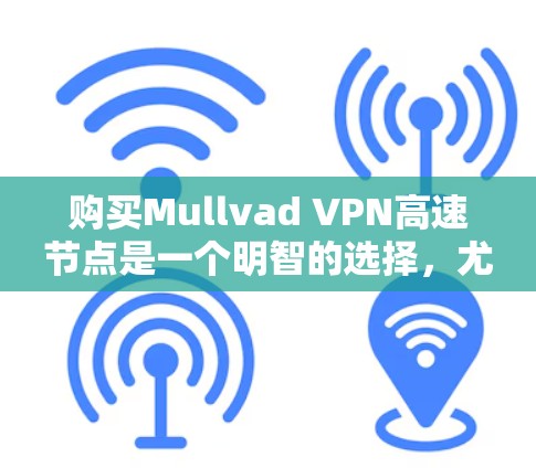 购买Mullvad VPN高速节点是一个明智的选择,尤其适合需要高效、可靠和安全的网络连接的用户。以下是对Mullvad VPN的主要考虑因素的整理