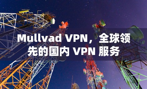 Mullvad VPN，全球领先的国内 VPN 服务