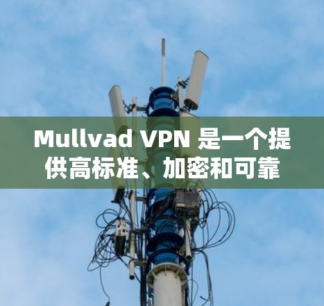 Mullvad VPN 是一个提供高标准、加密和可靠VPN服务的平台，适合需要快速、安全连接用户。以下是对用户问题的总结和答案