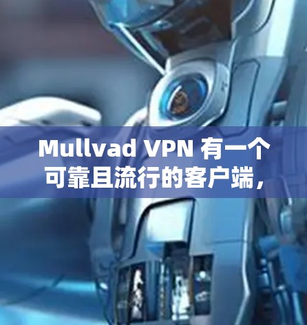 Mullvad VPN 有一个可靠且流行的客户端，广泛用于商业环境和个人使用。以下是关于 Mullvad VPN 的详细信息