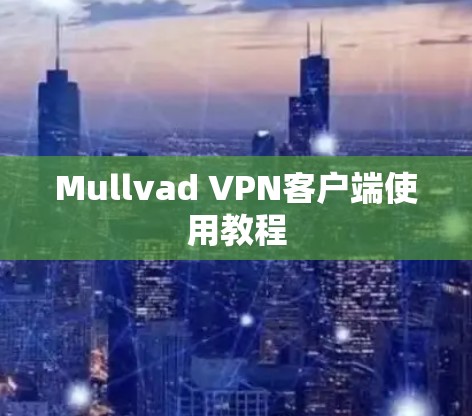 Mullvad VPN客户端使用教程