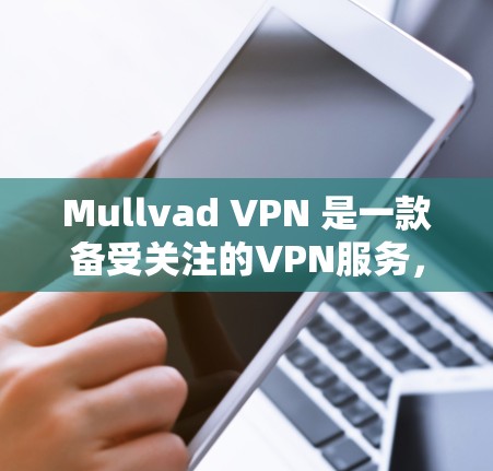Mullvad VPN 是一款备受关注的VPN服务，以其稳定性和安全性著称。以下是对 Mullvad VPN 的一个详细分析，重点突出其稳定性和用户体验